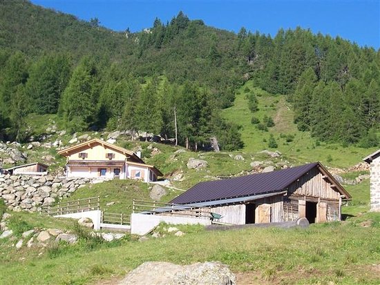 Bando d’asta pubblica per la concessione pluriennale di Malga Casiere e dei pascoli annessi, di proprietà del comune di Rocca Pietore (BL) nella frazione di Laste